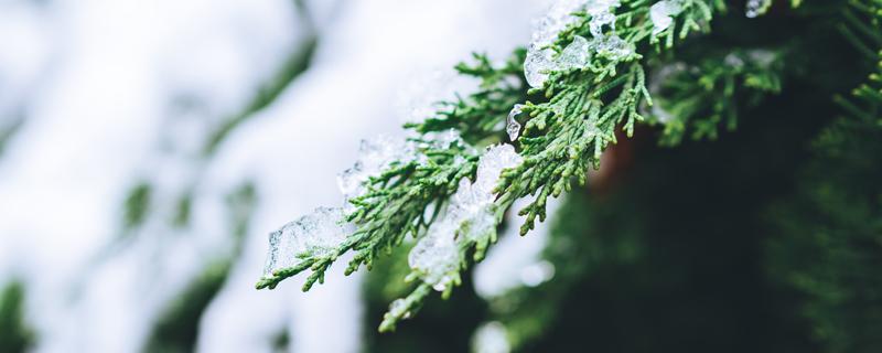 立冬后冷不冷 立冬会下雪吗