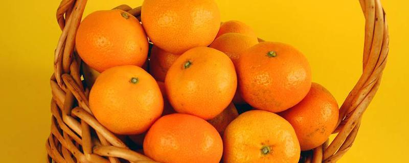 橘子可以放冰箱保鲜吗 橘子放冰箱能保存多久
