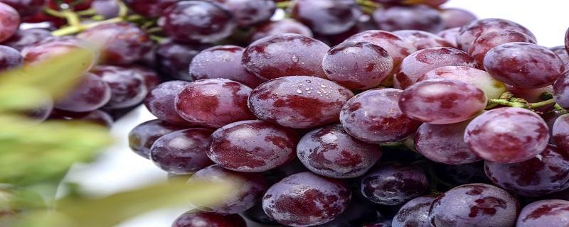 葡萄一天可以吃多少合适 葡萄吃多了会胖吗