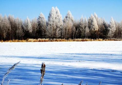 大雪时节吃什么养生