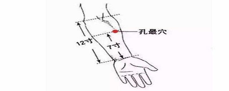 孔最的准确位置图和作用（孔最的准确位置图和作用的准确位置图片）