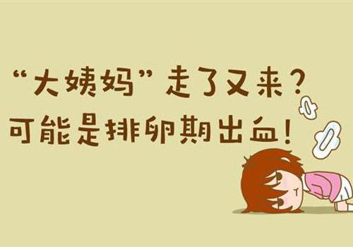 排卵期出血前一天同房会不会怀孕 排卵期出血前一天同房会怀孕吗