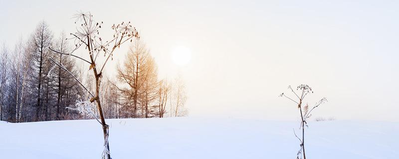 大雪节气阴历是哪天 大雪节气通常在公历什么日期