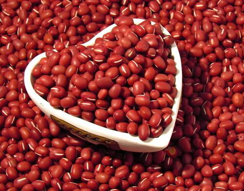 吃红豆能减肥吗（吃红豆减肥吗?）