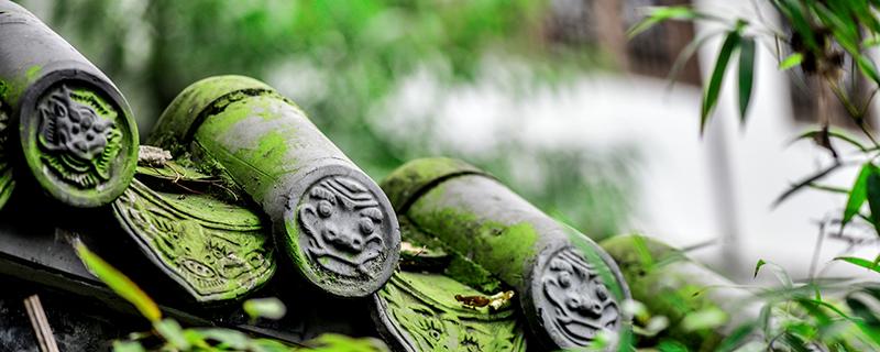 谷雨是哪个季节 谷雨是几月几日