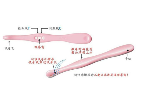 验孕棒怎么使用 笔形验孕棒怎么使用