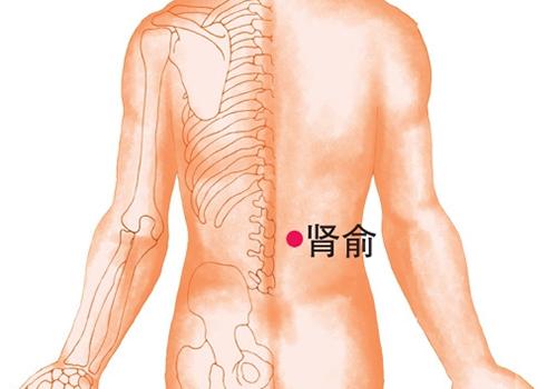 遗精拔罐那个位置（拔罐治疗遗精）