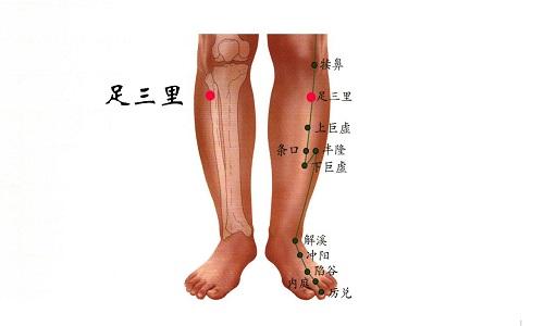 足三里按摩方法 足三里按摩方法讲解视频