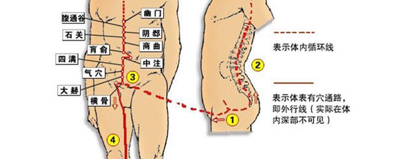 冲脉的准确走向位置图（任脉与冲脉的准确走向位置图）