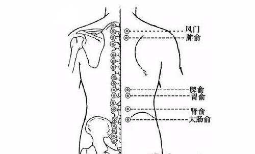 秋冬拔火罐（秋冬拔火罐一个月最多可以拔几次）