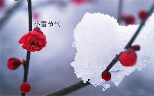 小雪养生 小雪养生食谱