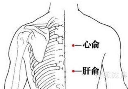 冠心病艾灸穴位（冠心病的艾灸疗法）