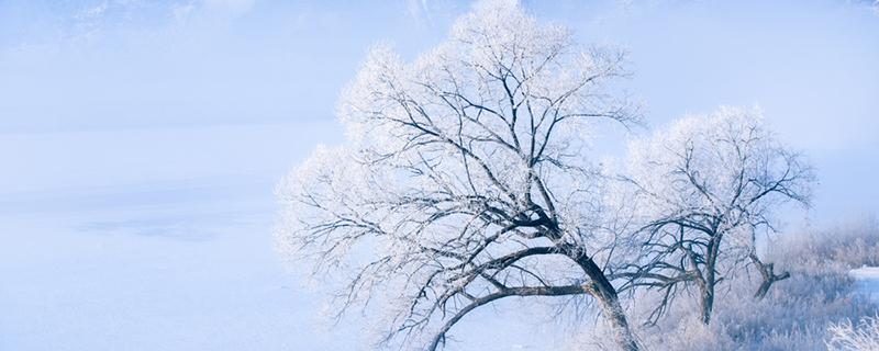 大雪是不是降水的形式 大雪是不是降水的形式之一