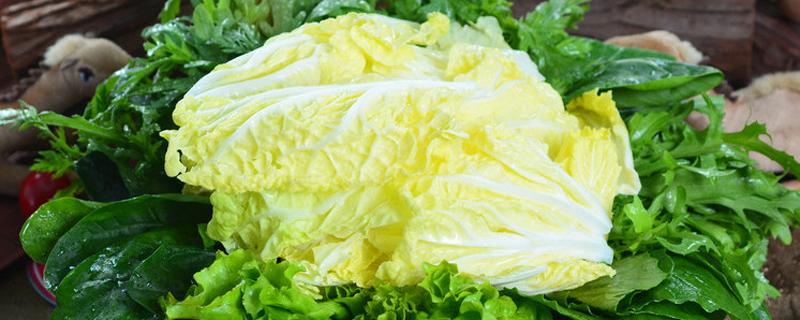 白菜怎么做好吃（大白菜怎么做好吃）