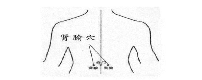 肾俞在身体哪个位置 肾俞的最简单的位置