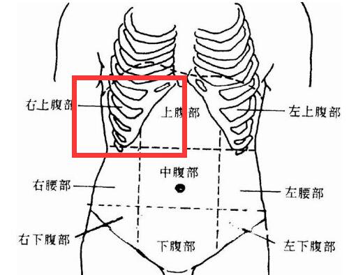 右上腹部疼痛的可能病因 右右上腹部疼痛的可能病因