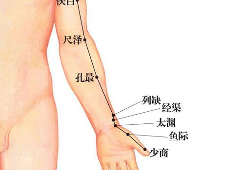 肺经在哪里（手部的肺经在哪里）