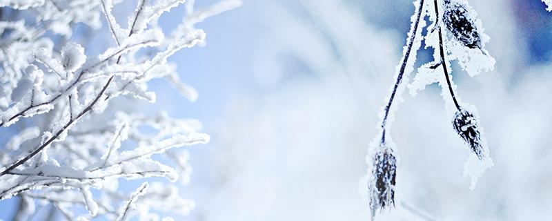 大雪节气是冬至吗（大雪节气是深冬吗）