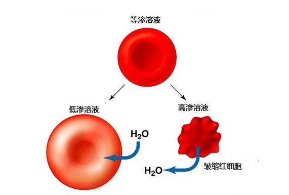 喝水太多的坏处（喝水过多有好处吗）