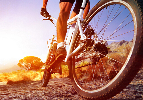 骑单车和跑步哪个减肥效果好 骑单车和跑步哪个减肥效果好 知乎