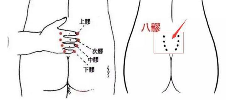 八髎准确位置图作用功效（八髎准确位置图作用功效视频）