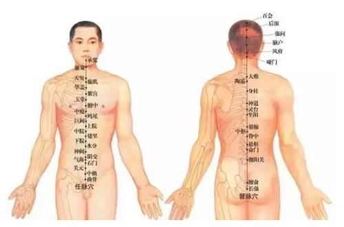 督脉的准确位置图 督脉的准确位置图片