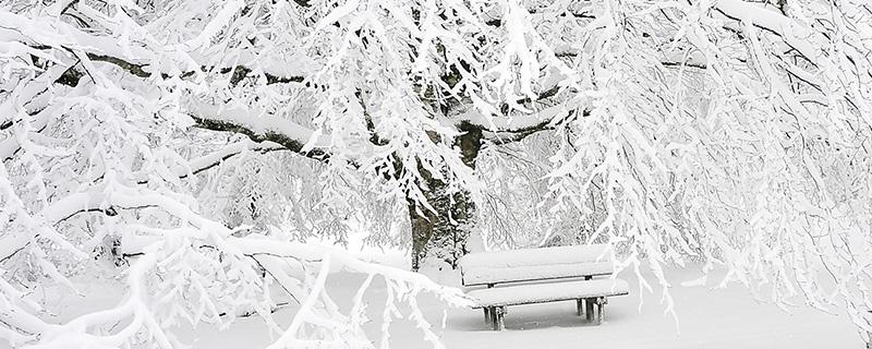 大雪节气会下雪吗 大雪节气下雪好还是不下雪好