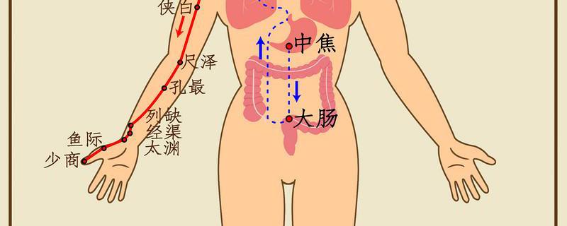 敲打肺经的最佳时间是几点 清肺经是左手还是右手