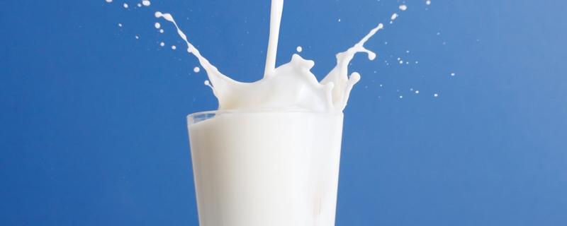 牛奶不能和什么一起吃 红枣牛奶不能和什么一起吃