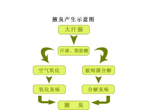 青春期有狐臭怎么办 青春期狐臭该怎么办