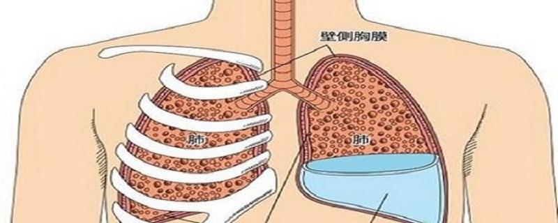 胸腔积液是怎么形成的（胸腔积液是怎么形成的,什么症状）