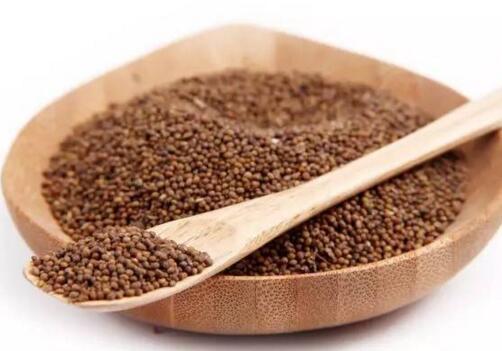 菟丝子功效与作用 女性吃菟丝子功效与作用