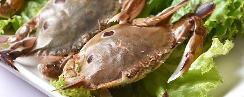 螃蟹和西瓜同吃了怎么办 螃蟹不能和什么一起吃