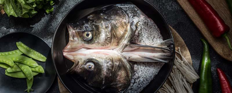 鱼头豆腐汤里能放瑶柱吗 鱼头豆腐汤可以放猪血吗