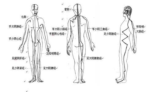 十二经络的走向和作用 十二经络的走向和作用郝万山