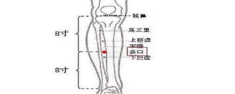 条口的意思是什么（什么叫口条）