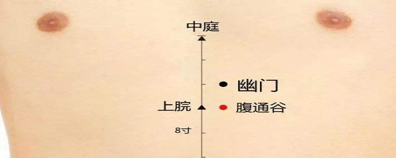 腹通谷在什么位置 腹部通谷的准确位置图片