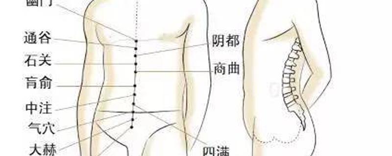 冲脉的准确走向位置图（冲脉的准确走向位置图片）