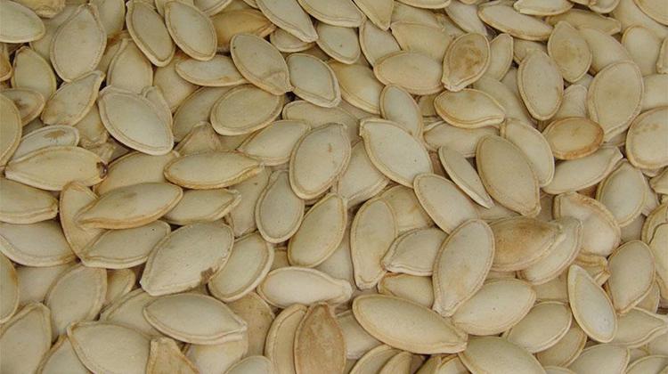 生南瓜子的功效与作用 生南瓜子的功效与作用和熟南瓜子作用