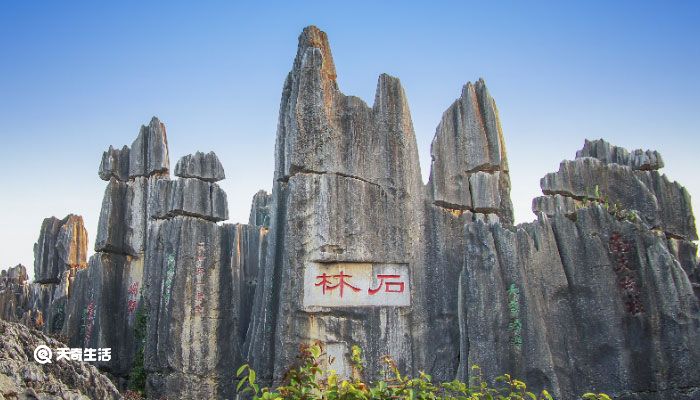 岩溶地貌广布的是什么高原 岩溶地貌景观