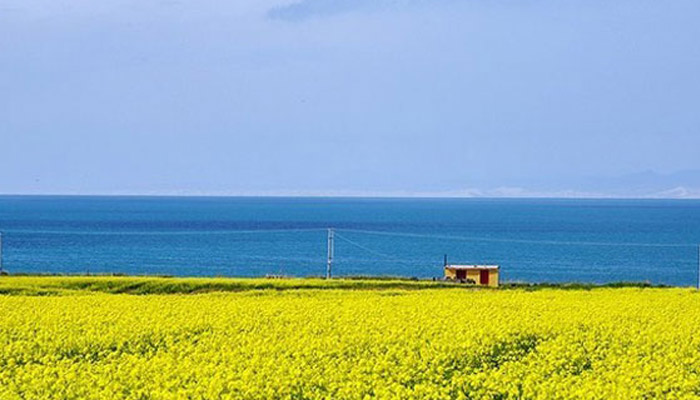 青海属于哪里 青海位于哪里