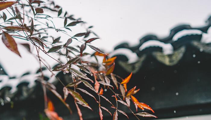 降雨量毫米是什么概念 降雨量毫米的概念