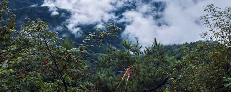 念奴娇井冈山赏析 念奴娇井冈山诗词赏析