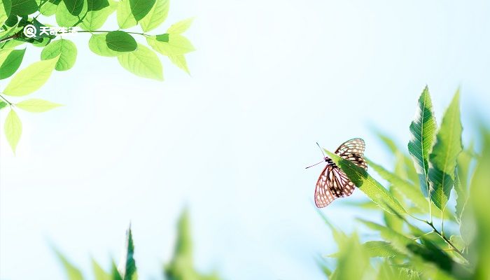 绝句迟日江山丽的中心思想是什么 绝句古诗的思想感情