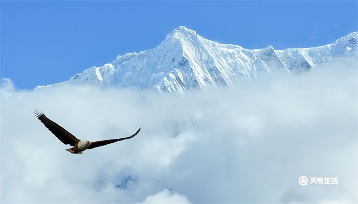中国登山队第一次登上珠穆朗玛峰是哪一年 中国登山队第一次登上珠穆朗玛峰是什么时候