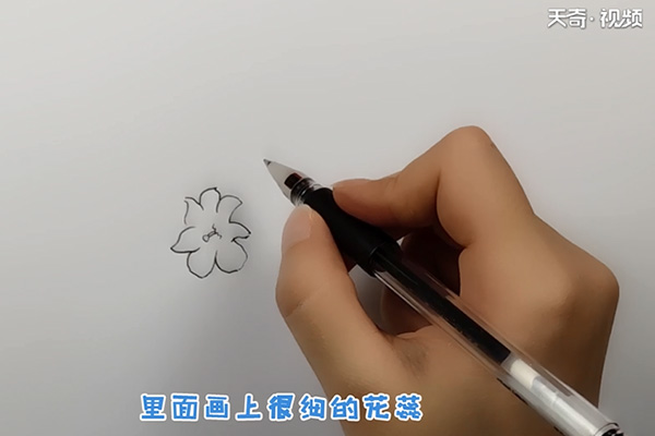 迎春花简笔画