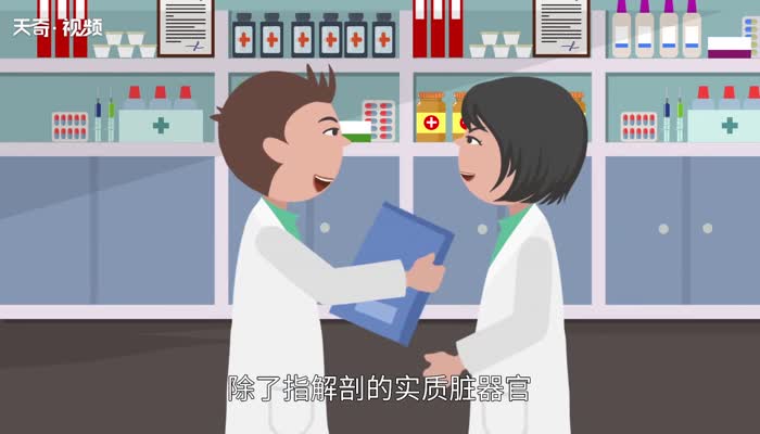 五脏六腑指的是什么 五脏六腑的主要功能