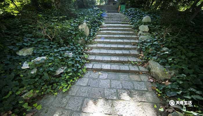 春夜喜雨古诗的解释 春夜喜雨古诗意思解释