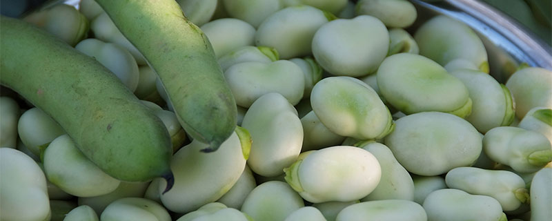 蚕豆怎么做好吃 蚕豆怎么做