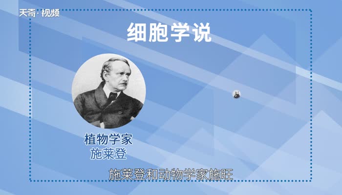 细胞学说的内容是什么  细胞学说的主要内容